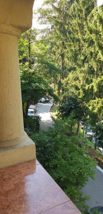 Rosa Villa Băile Olăneşti Exterior foto