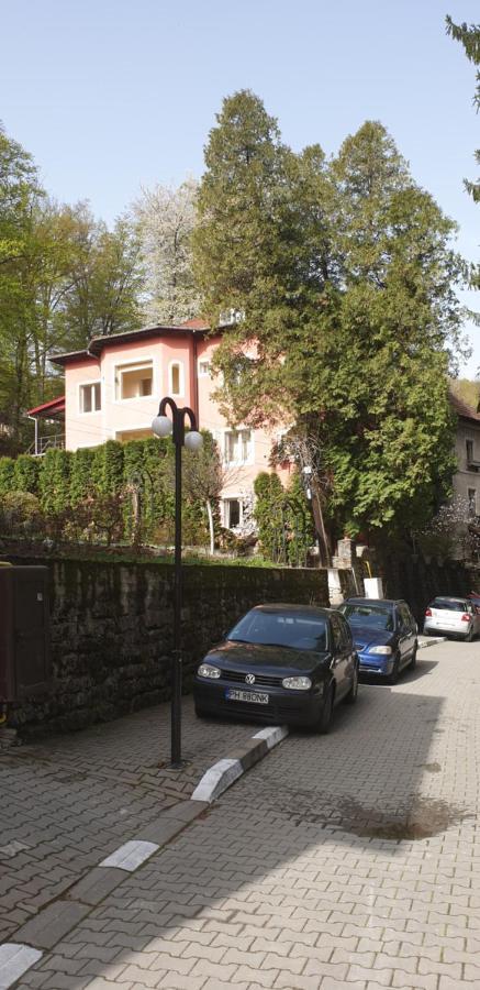 Rosa Villa Băile Olăneşti Exterior foto